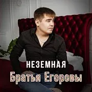 Братья Егоровы